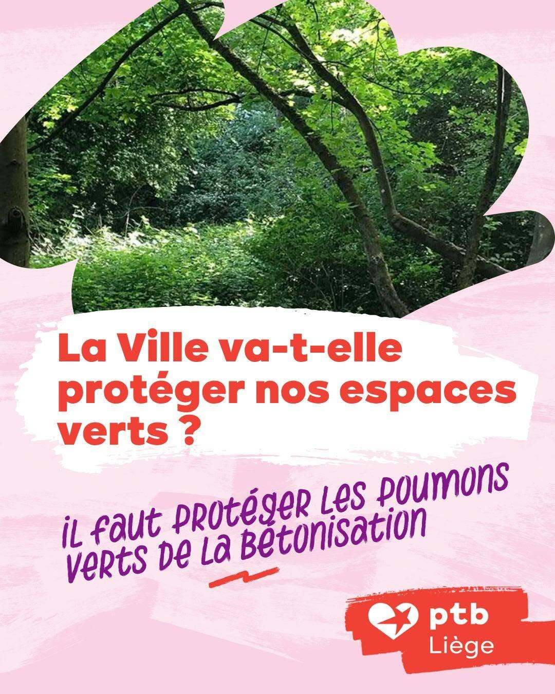 Urbanisation : quels engagements pour protéger les espaces verts à Liège ?