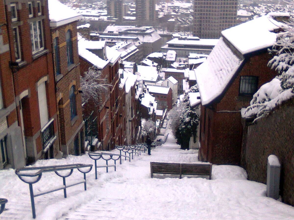 Plan Grand Froid : quelles garanties pour le financement ?